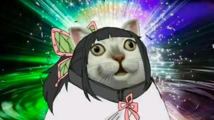 صور ميمات غوين تيتцу