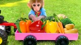 Baby monkey Bon Bon eats mini cake and harvests vegetables in the garden to feed rabbit