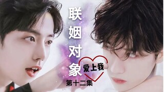 【博君一肖】联姻对象爱上我第十二集/先婚后爱/有点甜有点盐/深情粘人总裁王/隐忍善良画家肖/