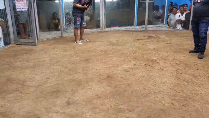 pa champion sa 3hits win! ang laki ng kalaban