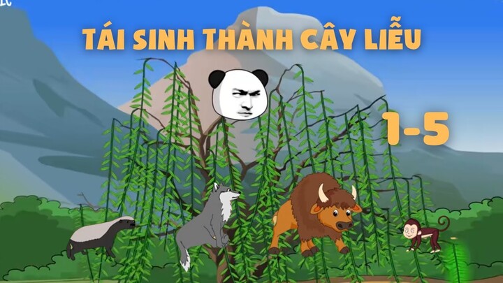 Full | Tái Sinh Thành Cây Liễu - Tập 1 đến 5 | Gà Review