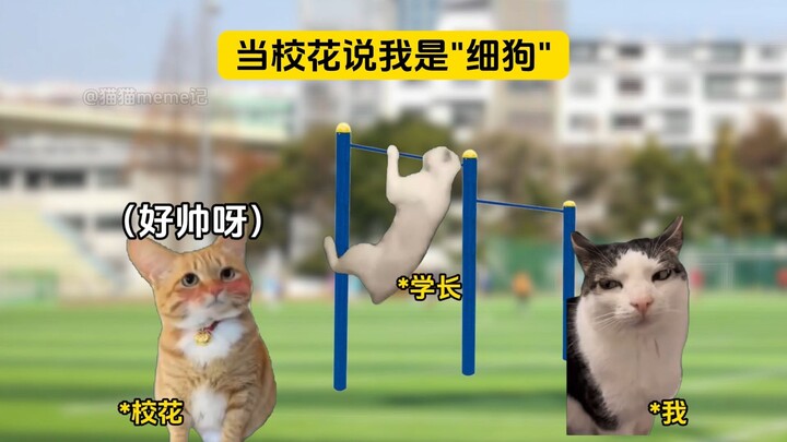 当校花说我是细狗