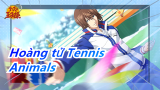 Hoàng tử Tennis|[Husbandos] Animals