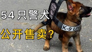 Ya Tuhan, 54 anjing polisi terlatih telah dijual untuk umum, saya ingin memilikinya!