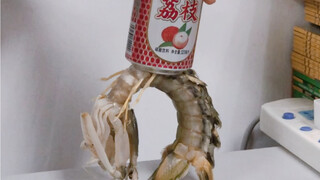 How heavy can a mantis shrimp lift?