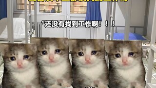 当大学毕业都没找到工作时 #内容过于真实 #毕业季 #大学生 #猫meme#搞笑