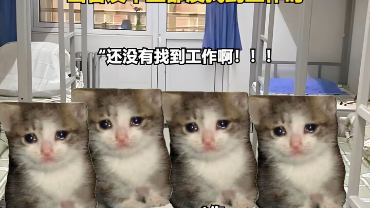 当大学毕业都没找到工作时 #内容过于真实 #毕业季 #大学生 #猫meme#搞笑
