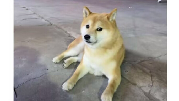 Is that you back?