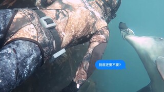 โลมาป่าตัวหนึ่ง: พี่ชาย ครีบของนายหลุดไป ขอยื้อคืนนะ!