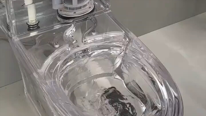 Instagram-style toilet