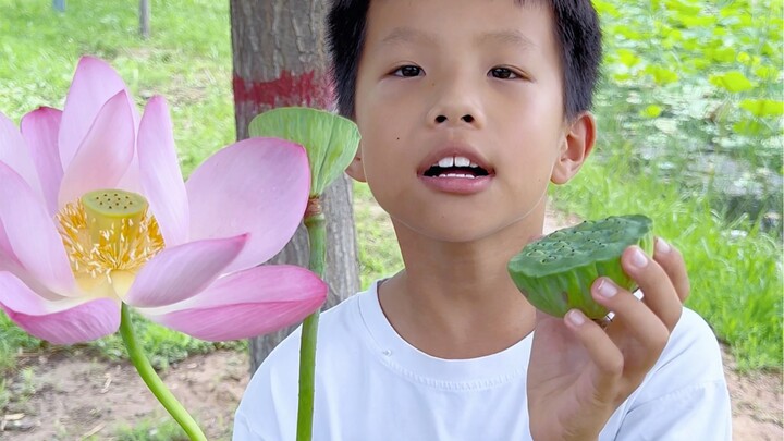 Con trẻ vô cùng yêu thích hoa sen.