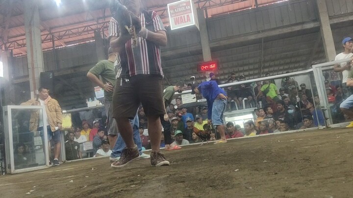 WIN AT ALFONSO COCKFIT ARENA