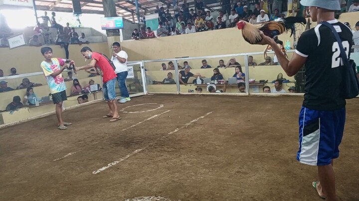 Entry Name: BOTOBARA 2 hits champion 🏆 @ ELPASO Nasugbu BATANGAS