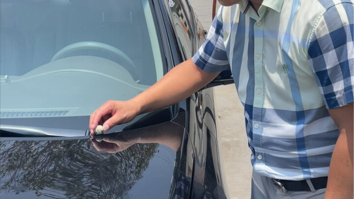 Món quà của thiên nhiên