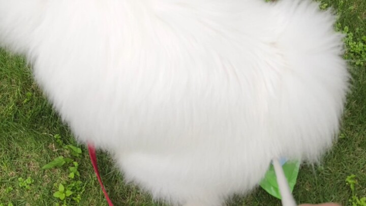 Chúc bạn đi ngoài luôn thông suốt!