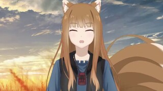 [Wolf and Spice/Vtuber Holo/04] [คำบรรยายภาษาจีน] หมาป่าผู้ชาญฉลาด Holo เห็นหมอนของเธอ! -