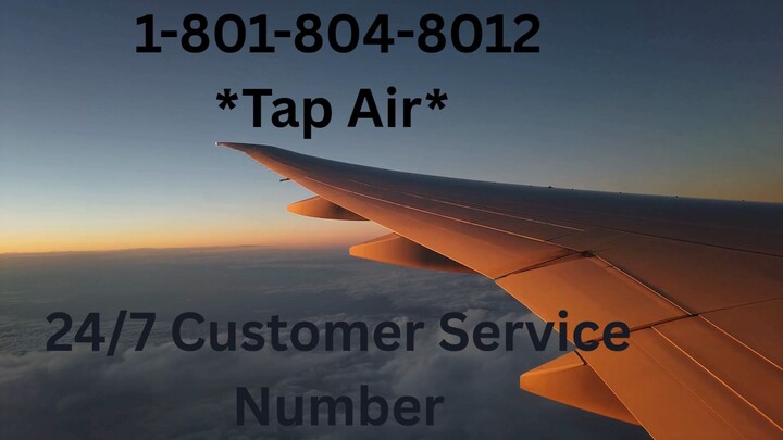 Número de Teléfono de Atención al Cliente de Tap Air® – Guía Completa Paso a Paso 2025