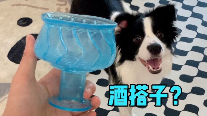 ألعاب الجرو أصبحت فظيعة ... dbq