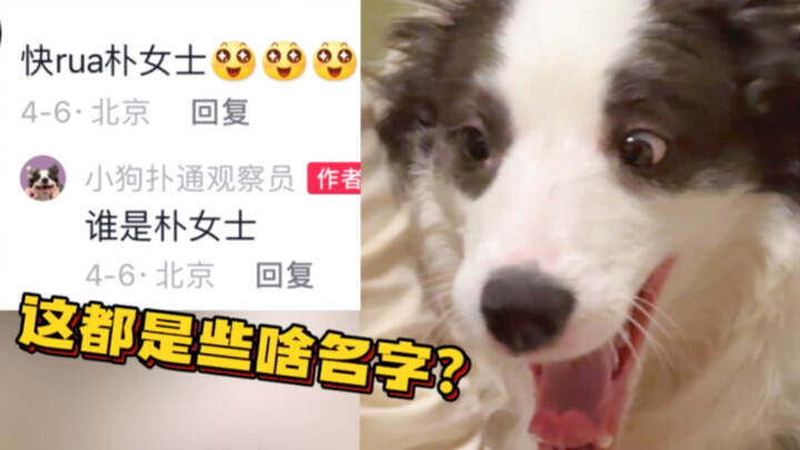 Oke, oke, aku seharusnya tidak memberi nama anak anjing itu.