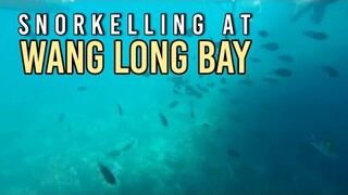 Snorkelling at Wang Long Bay, Koh Phi Phi Tour - Part 13 (Christmas at Thailand 2019)