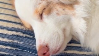 Bayinya lucu sekali!!!