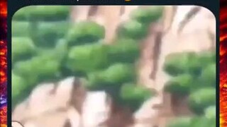 Zoro got Lost Again.. 😂