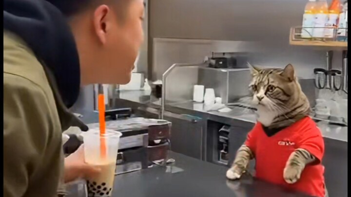 บันทึกการทำงานของมี่ในร้านอาหาร