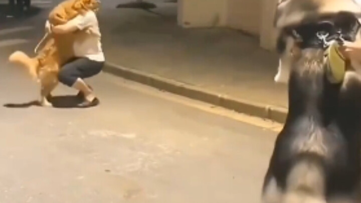 Jealousy has completely warped Gouzi’s true self.