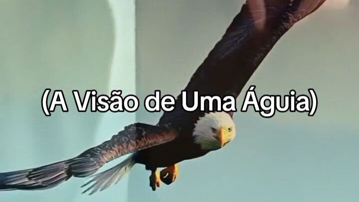#(A Águia 🦅 Superadora)