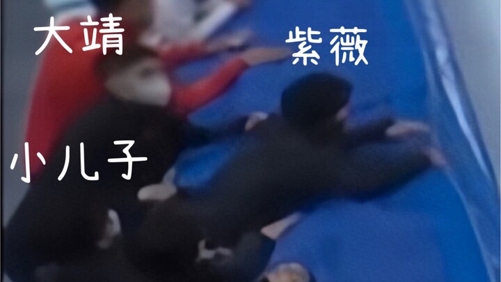 Ren Ziwei got so hyped off-camera he was about to lose it, but Wu Dajing yanked him back in one swif