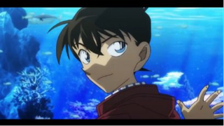 Conan và những vụ án bí ẩn  #Animehay#animeDacsac#Conan#ShinichiKudo