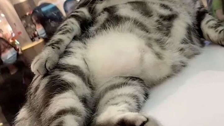 穿黑丝的就是不一样啊！