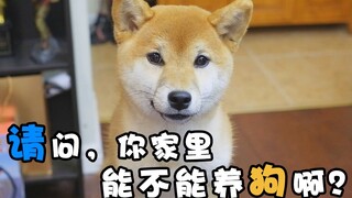【站着说话不腰疼】我小时候跟我妈说想养：猫，狗，鸡，猪，蛇，鼠，但都被拒绝了
