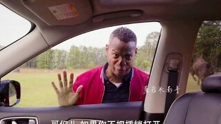 这才是真正的牛气冲天
