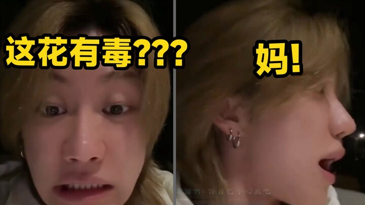 Gặp chuyện không quyết được thì gọi mẹ, ngay cả Xu Minghao cũng không ngoại lệ.