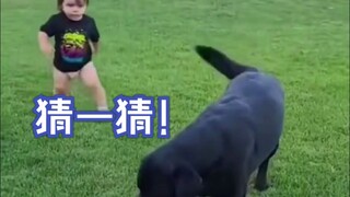 Ngọa Long và Phượng Hoàng, tôi ghen tị với những bãi cỏ và sân rộng ở nước ngoài. Tôi có thể đoán đư