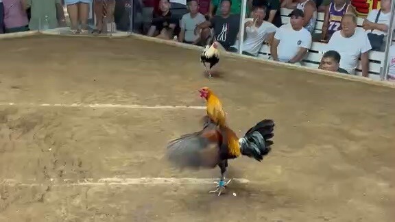 Abucay 2hits, 2nd fight W