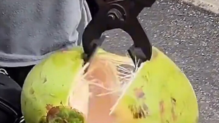 Perfectly Opening a Coconut