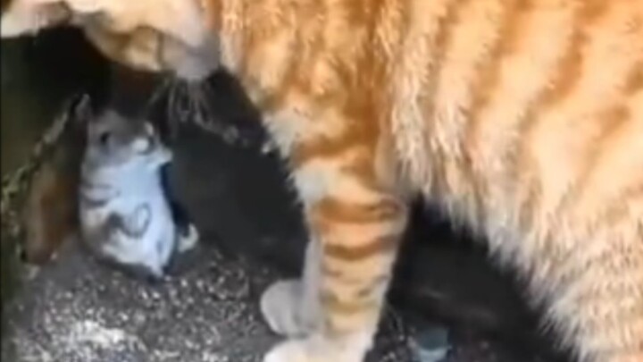 “If there’s nothing else, I’ll hang up now.”