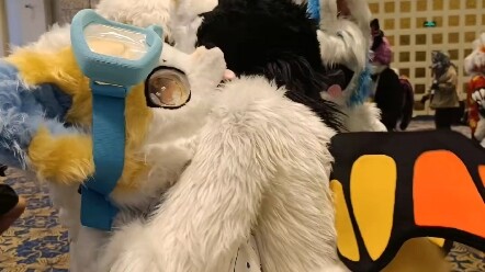 Binggaogao's first beast gathering!
