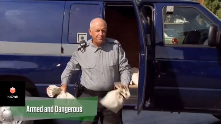 Vũ trang và nguy hiểm #haihuoc