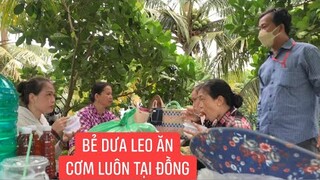 Đi tới vườn dưa Leo gôm dưa dạt cho bà con Bình Dương