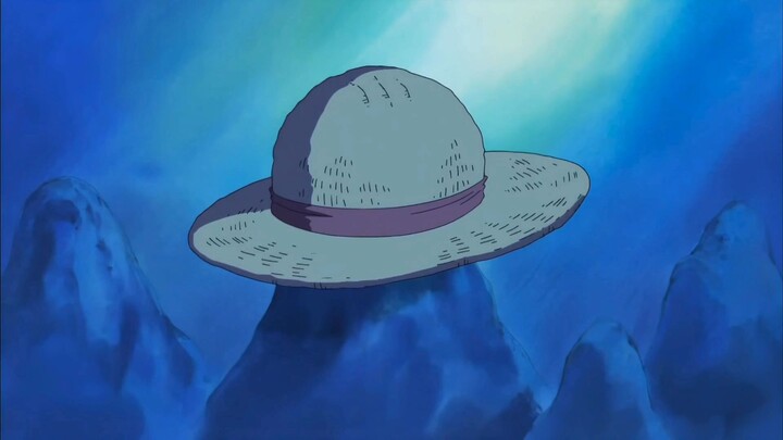 the biggest fight in one piece