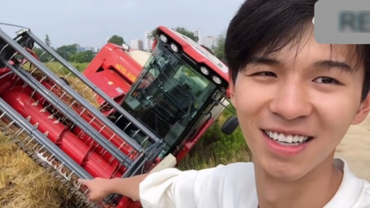 Opening: Master, come and save me Ending: Master, I’m here to save you Hahahahaha None of the certif