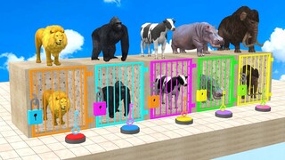 Cow Mammoth Elephant Gorilla Lion Hippo Guess The Right Key ESCAPE ROOM CHALLENGE Animals Cage Game