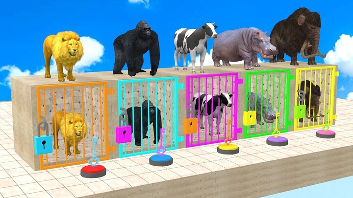 Cow Mammoth Elephant Gorilla Lion Hippo Guess The Right Key ESCAPE ROOM CHALLENGE Animals Cage Game