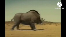 Ice Age Animals Full Movie Desblazeheatnix