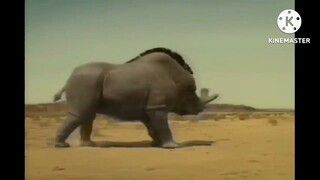 Ice Age Animals Full Movie Desblazeheatnix