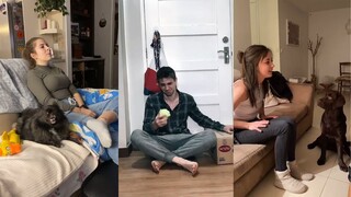 TikTok Pets Doing Funny Things 😅 - TikTok Trend Compilation | Pet Squad