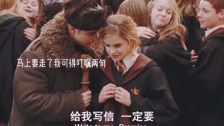 Krum’s favoritism toward Hermione is downright obvious.